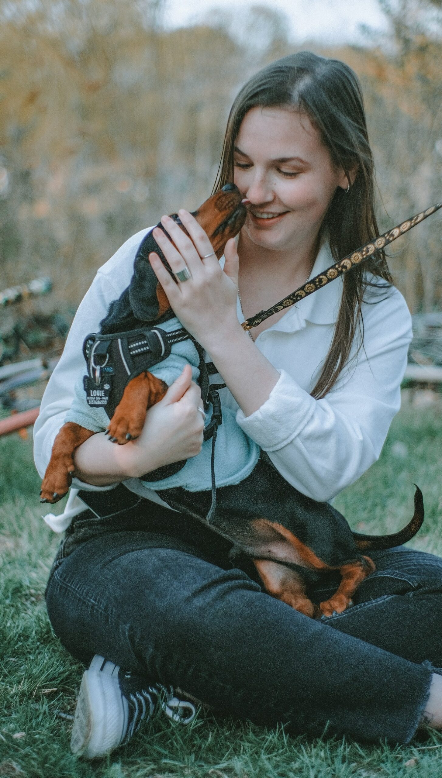 Smooth Versus Wirehaired: Choosing Your Ideal Dachshund Coat